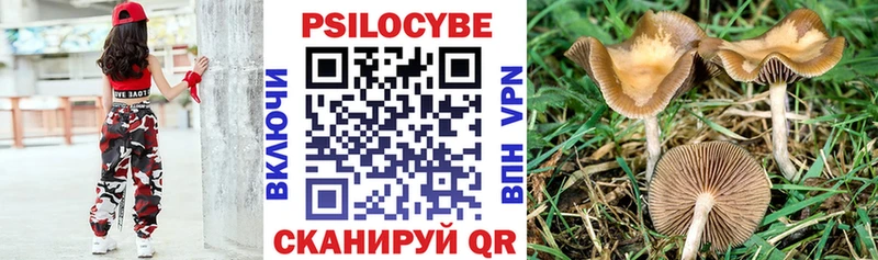 Галлюциногенные грибы Magic Shrooms Купить закладки Поронайск